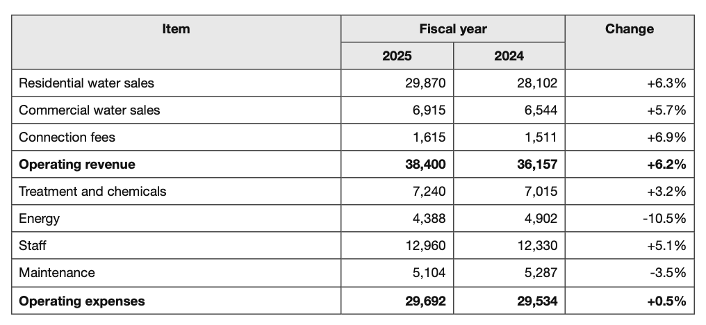 A financial table with a two-level header: Fiscal year spans the 2025 and 2024 columns.